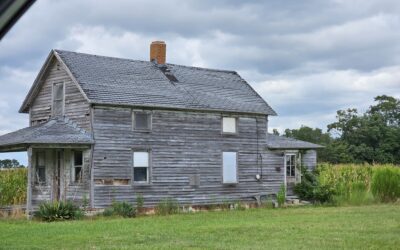 Autumn’s Approach: Art, Inspiration, and Life on the Delaware Coast