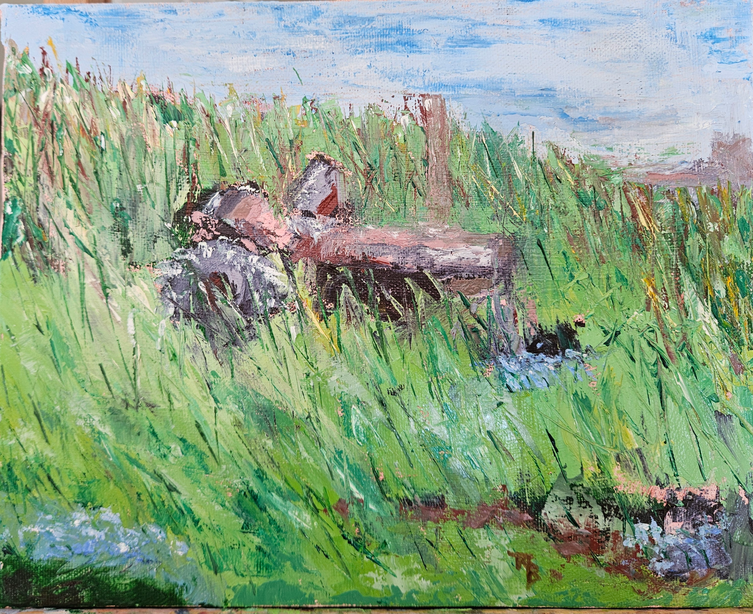 Summer_Tractor_Sussex_DE